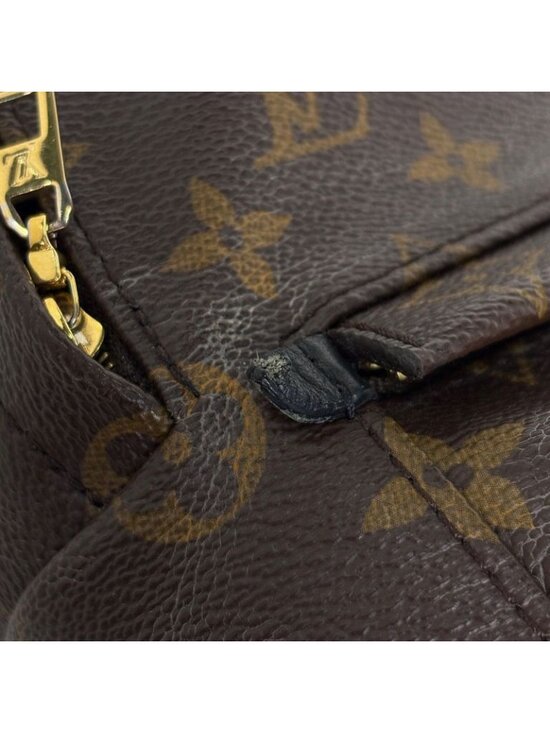Louis Vuitton Palm Spring Backpack Mini Monogram Brown Black main image 4